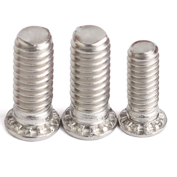 Clinch Bolt 1 Clinch Bolts