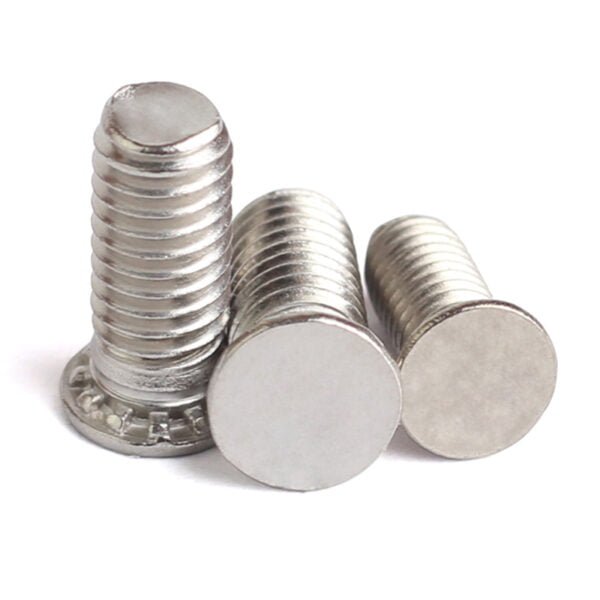 Clinch Bolt 2 Clinch Bolts