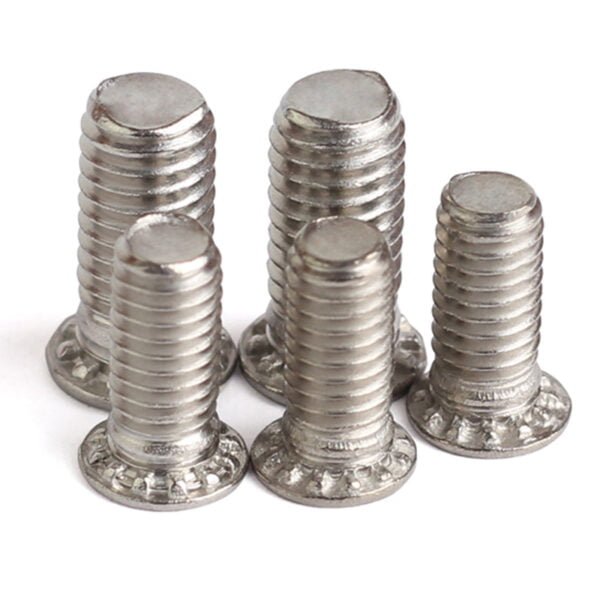 Clinch Bolt 3 Clinch Bolts