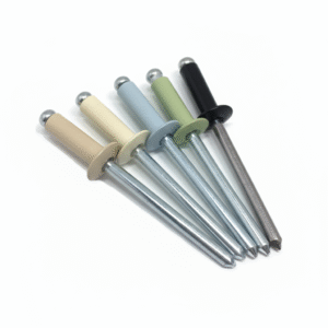Coloured Head Rivet Coloured Head Rivets