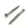 OEM stainless double thread torx screw for structural applications