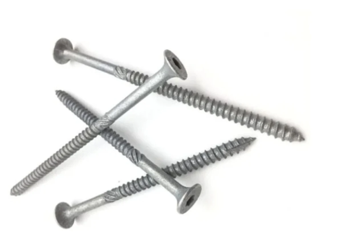 AS3566 bugle head batten screws shown on a white background.